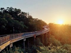 -金鸡山公园