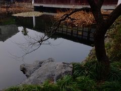 -艺圃
