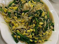 韭菜炒豆芽-阿水土鸡(远光店)