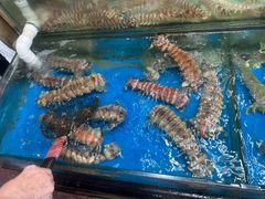 -鲤鱼门海鲜街