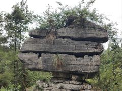 -梭布垭石林景区