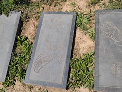 -野鸭湖国家湿地公园