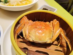 -桂满陇天书(南京德基旗舰店)