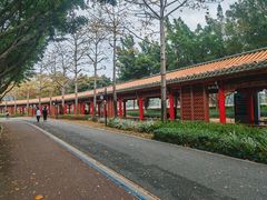 -顺峰山公园