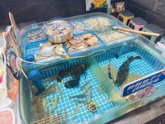 -双合园·海鲜水饺青岛菜(万佳广场店)