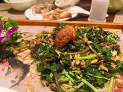 -金龙寨(解西店)