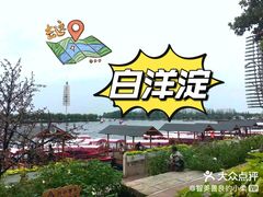 -白洋淀风景区