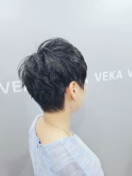 -VEKA 维卡造型