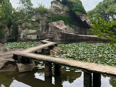 -长屿硐天八仙岩景区