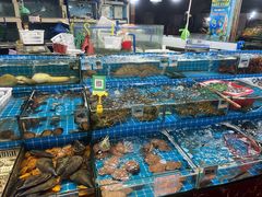 -三亚新鸿港水果一级批发市场