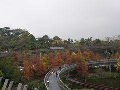 -福道