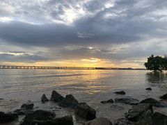 -宝安西湾红树林湿地公园