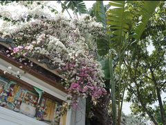 -深圳国际园林花卉博览园