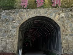 -栾川竹海野生动物园