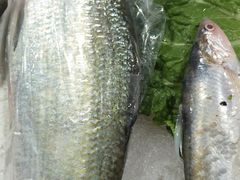 -浦商菜市场·锦德店