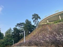 -白石龙音乐公园