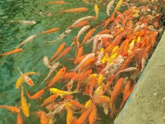 -海月轩海鲜豆捞(紫金塔店)