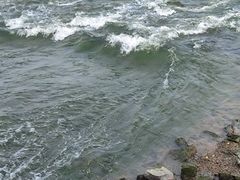 -深圳湾公园(南山区)