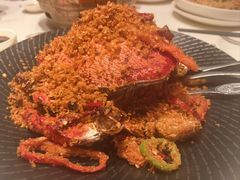 避风塘老虎蟹-粤来记·啫啫煲·点心(日月光店)