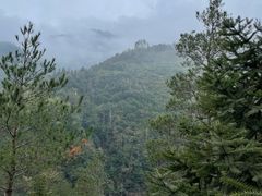 -楠溪江风景名胜区