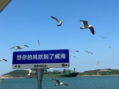 -海驴岛(荣成市)