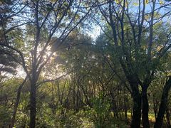 -长春市南湖公园