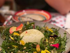 -TOMATITO(无限极荟店)