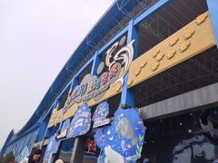 -泉城欧乐堡海洋极地世界