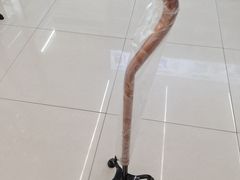 -电动轮椅专卖店