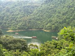 -鼎湖山风景区