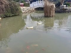 -武汉紫薇都市田园