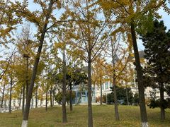 -青岛海泉湾皇冠假日度假酒店