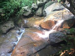 -火炉山森林公园