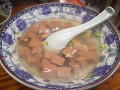 -九斤黄三黄鸡专卖店