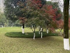 -龙头寺公园
