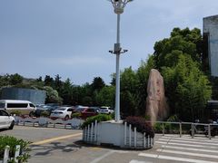 -胜华驾校·小猫学车(银都店)