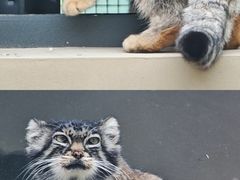 -青藏高原野生动物园