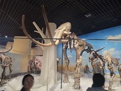 -国家自然博物馆