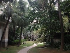 景点-白鹭洲公园