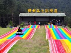 -黄陂区野村谷景区