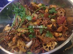 -靓蛙馆