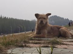 -南京金牛湖风景区