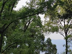 -金堂县云顶石城风景区