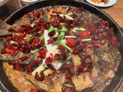 -老板恋上鱼(恒隆广场店)