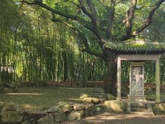 -兰亭风景区