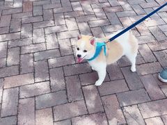 -驳二艺术特区
