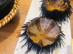 -海胆小馆(东北水饺·春柳店)