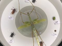 -呼和浩特博物馆