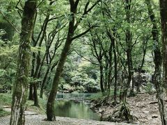 -楠溪江石桅岩