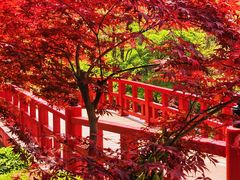 -大连植物园